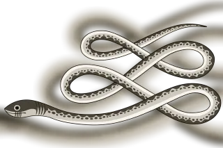 Apophis, giant serpent of chaos pierced by a deity defending the solar barque