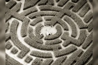 Plan circulaire du Labyrinthe de Crète avec le Minotaure en son centre, mosaïque antique